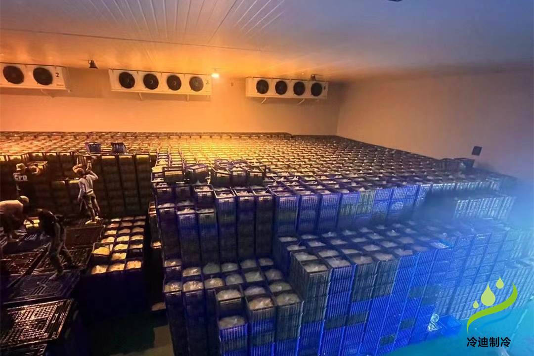 1000立方冷庫可以存多少噸？用多大制冷設(shè)備？